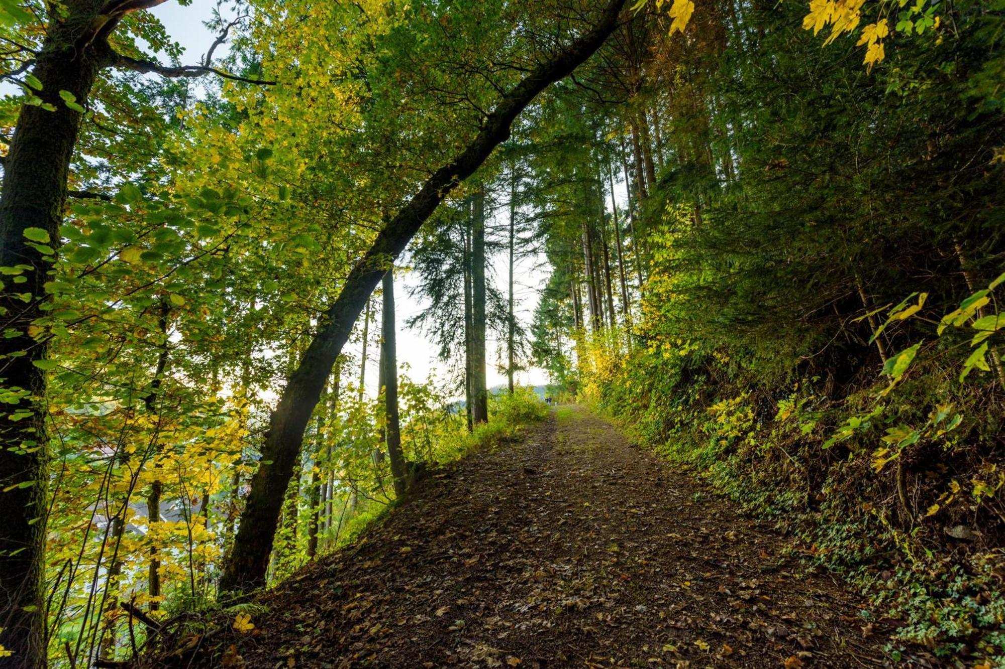 Schwarzwald Romantikhuette - Zweisamkeit - Mit Bettwaesche, Handtuecher Und Holz Schenkenzell Kültér fotó